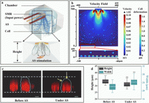 d4lc00867g-f1_hi-res