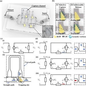 images_large_ac5c04704_0005